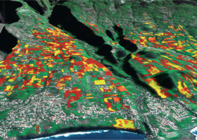 Récolte de canne à La Réunion