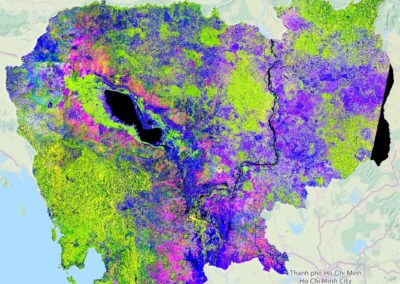 Rizière au Cambodge