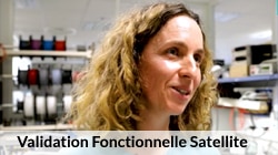 Validation fonctionnelle