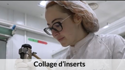 Collage d'inserts